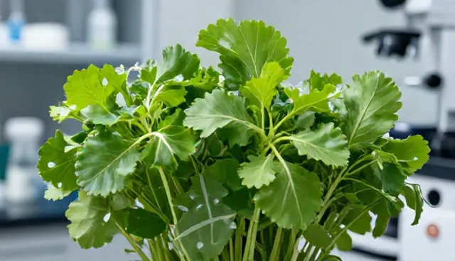 技术推广中的运维服务适用情况与限制